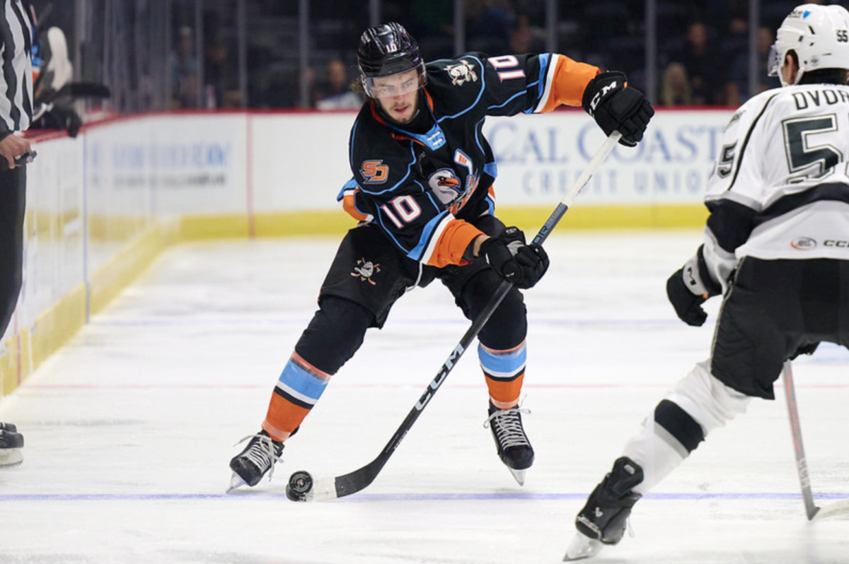 (Image courtesy of San Diego Gulls)